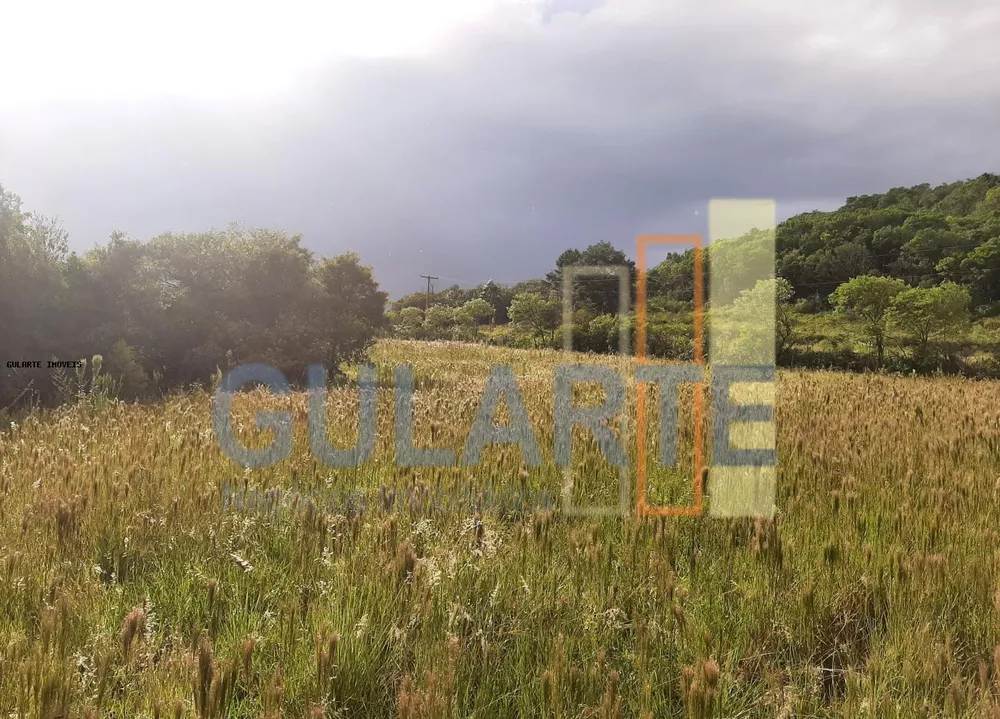 Sítio, 12 hectares - Foto 8