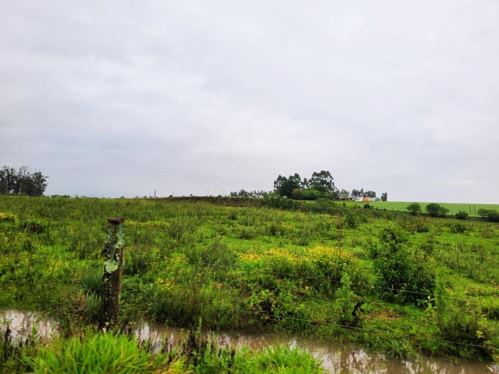 Terreno, 10 hectares - Foto 2