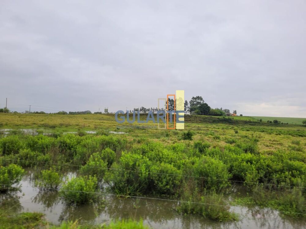 Terreno, 10 hectares - Foto 3