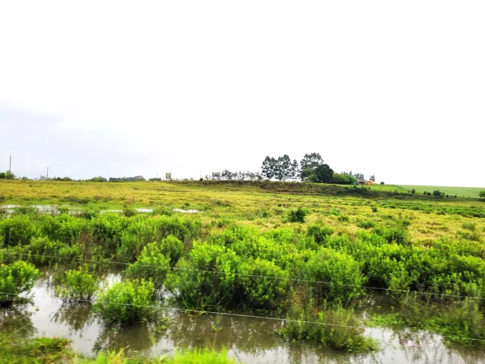 Terreno, 10 hectares - Foto 4