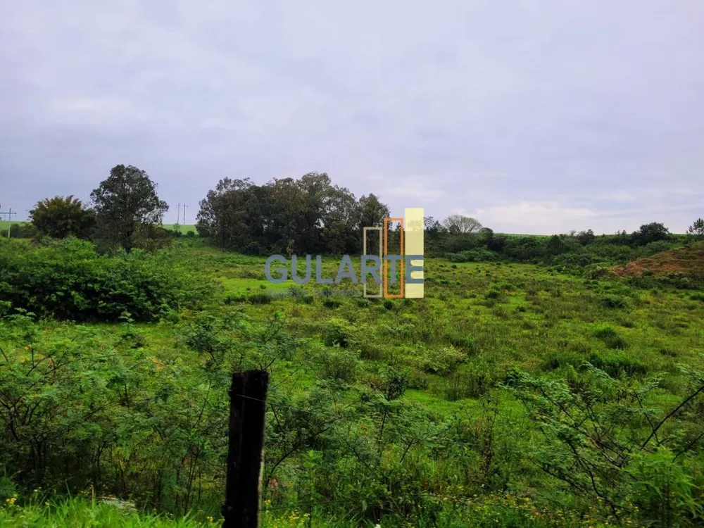 Terreno, 10 hectares - Foto 5