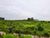 Terreno, 10 m² - Foto 2