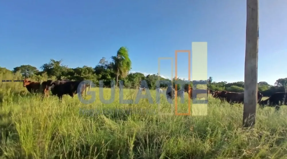 Fazenda, 243 hectares - Foto 4