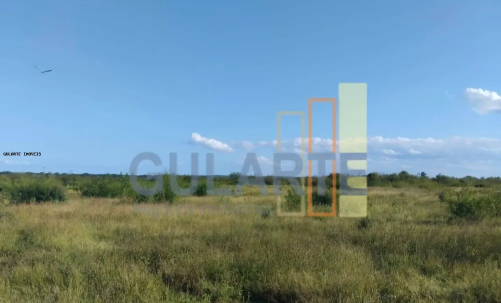 Fazenda, 243 hectares - Foto 8
