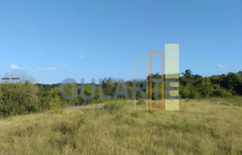 Fazenda, 243 hectares - Foto 7