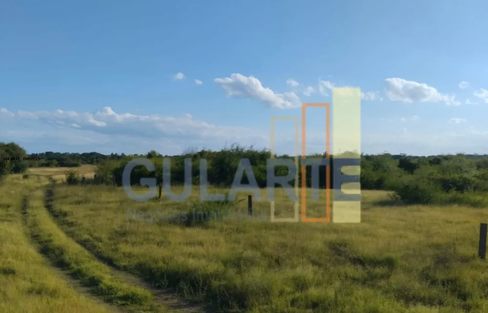 Fazenda, 243 hectares - Foto 1