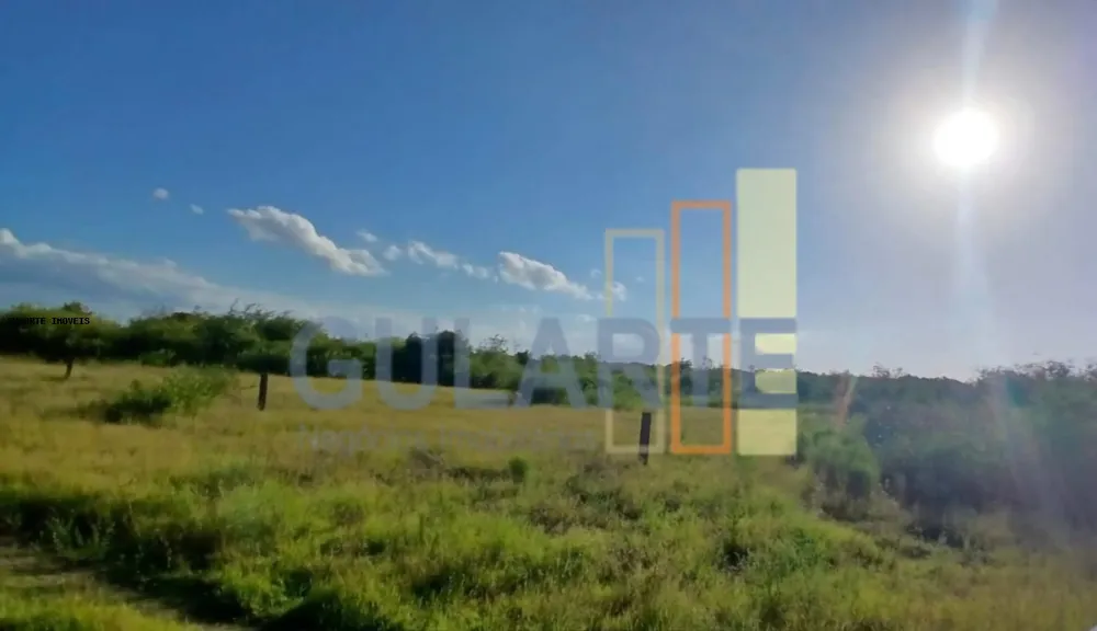 Fazenda, 243 hectares - Foto 2