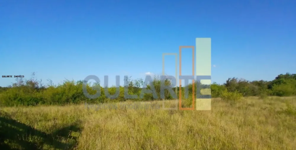 Fazenda, 243 hectares - Foto 3