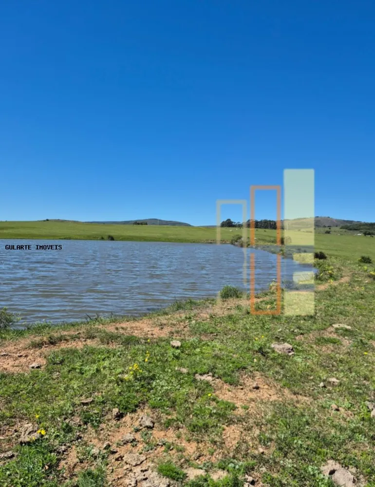 Fazenda, 273 hectares - Foto 4