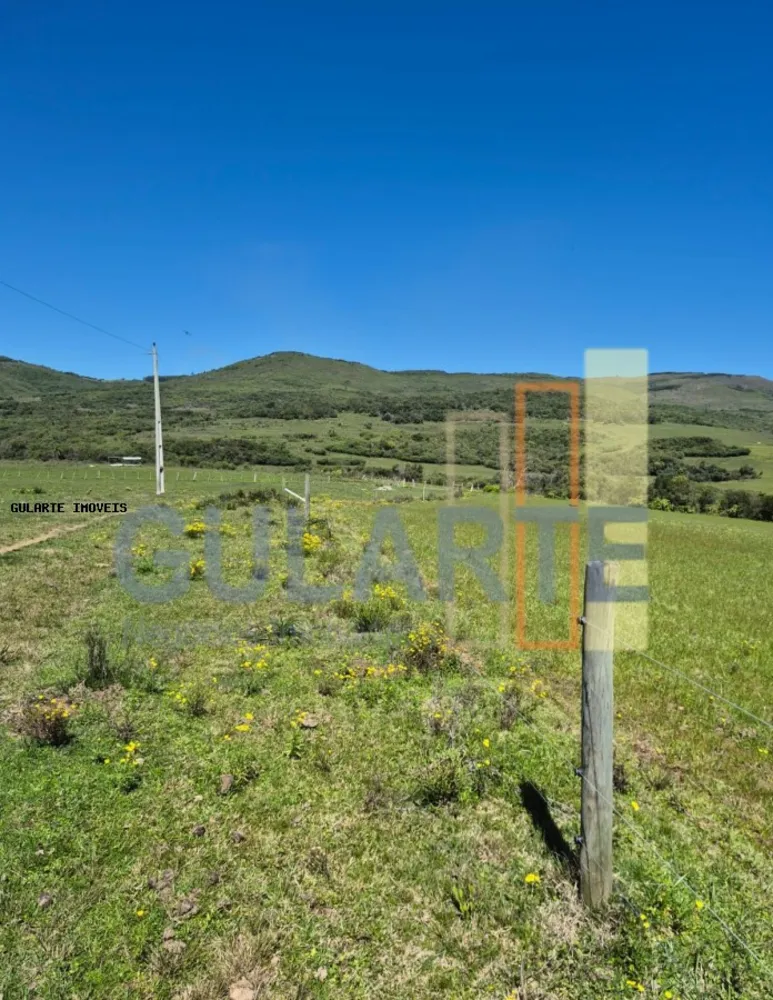 Fazenda, 273 hectares - Foto 3