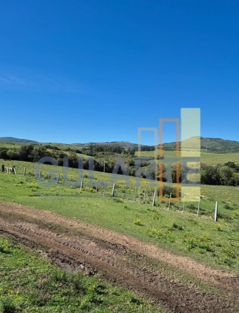 Fazenda, 273 hectares - Foto 8