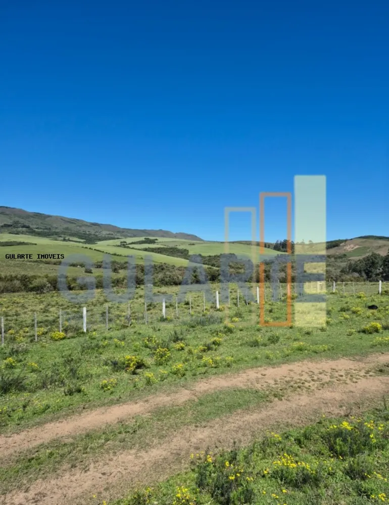 Fazenda, 273 hectares - Foto 7