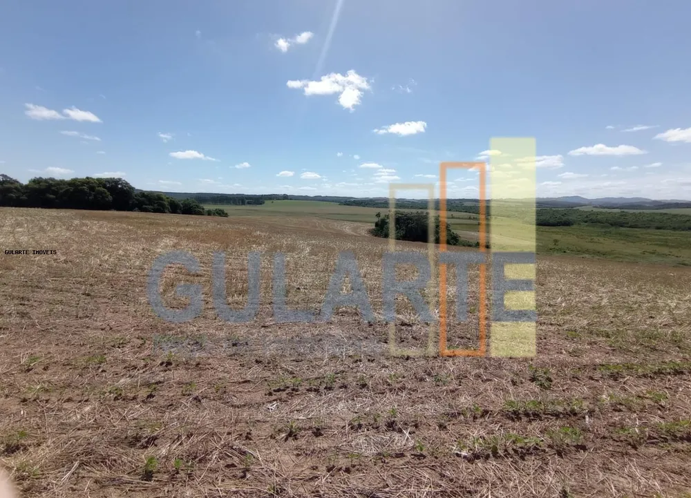 Fazenda, 360 hectares - Foto 4