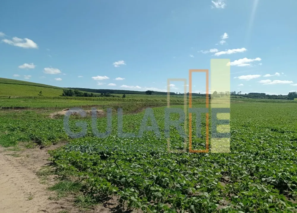 Fazenda, 360 hectares - Foto 2
