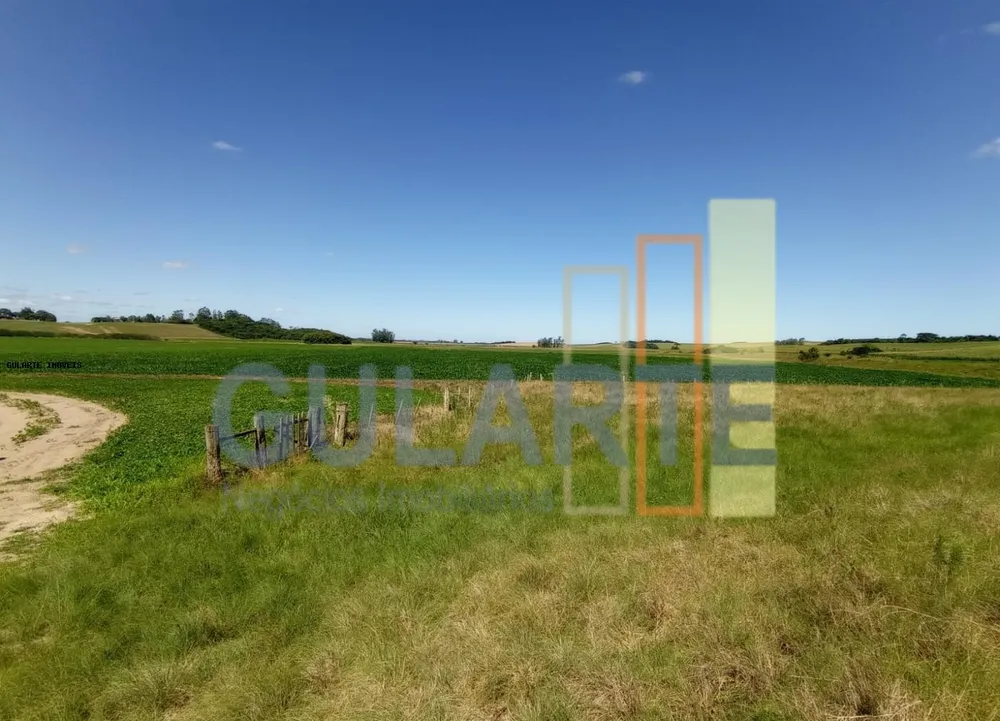 Fazenda, 360 hectares - Foto 6