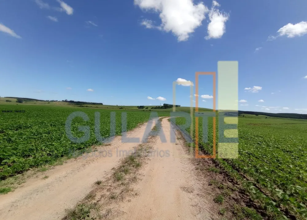 Fazenda, 360 hectares - Foto 7