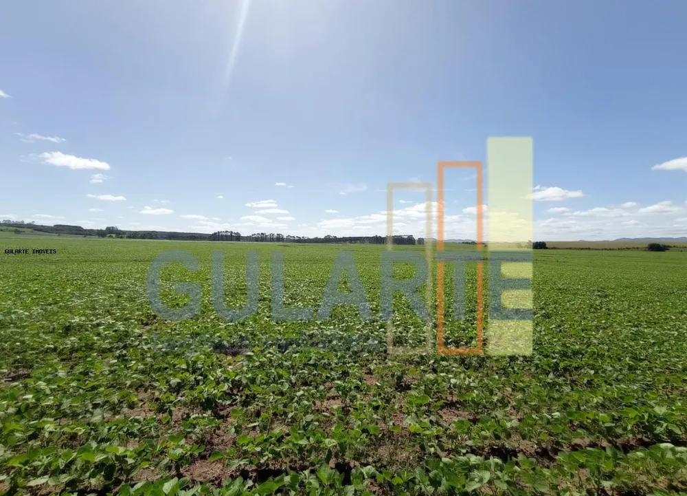 Fazenda, 360 hectares - Foto 3