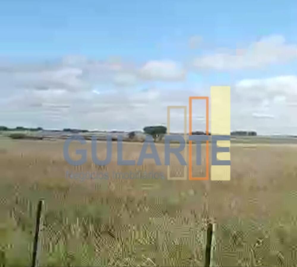 Fazenda, 401 hectares - Foto 4