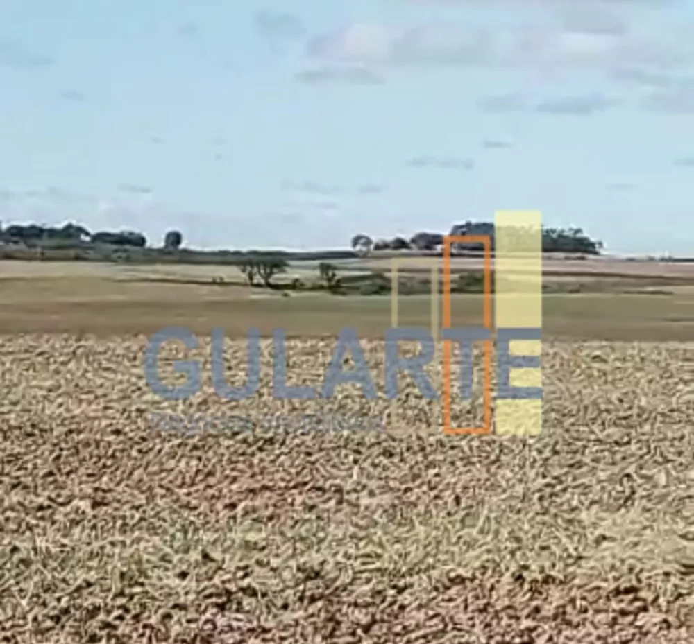 Fazenda, 401 hectares - Foto 8