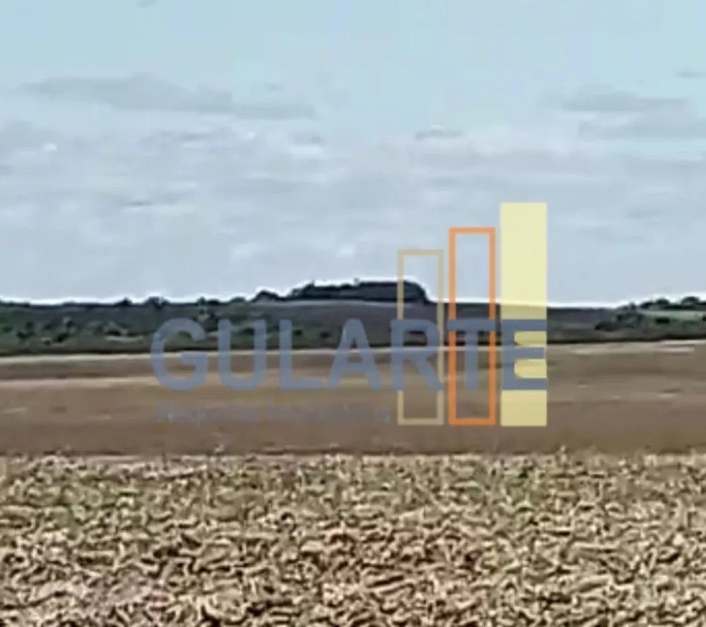 Fazenda, 401 hectares - Foto 11