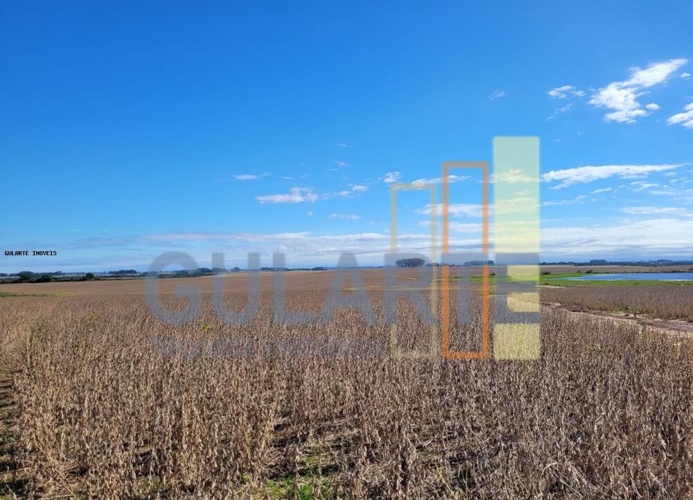 Fazenda, 401 hectares - Foto 7