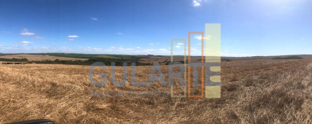 Fazenda, 401 hectares - Foto 1