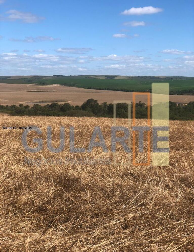 Fazenda, 401 hectares - Foto 2