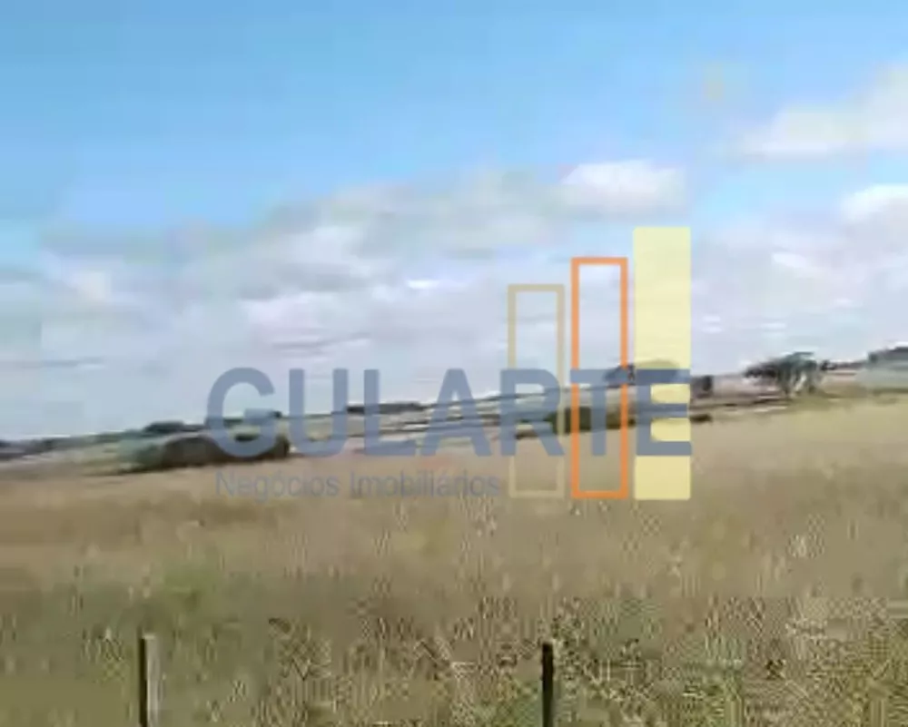 Fazenda, 401 hectares - Foto 6