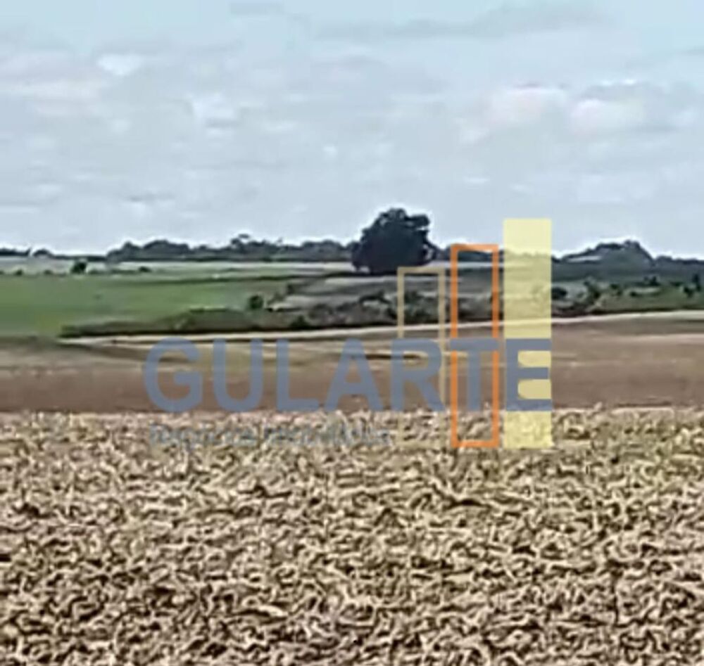 Fazenda, 401 hectares - Foto 10