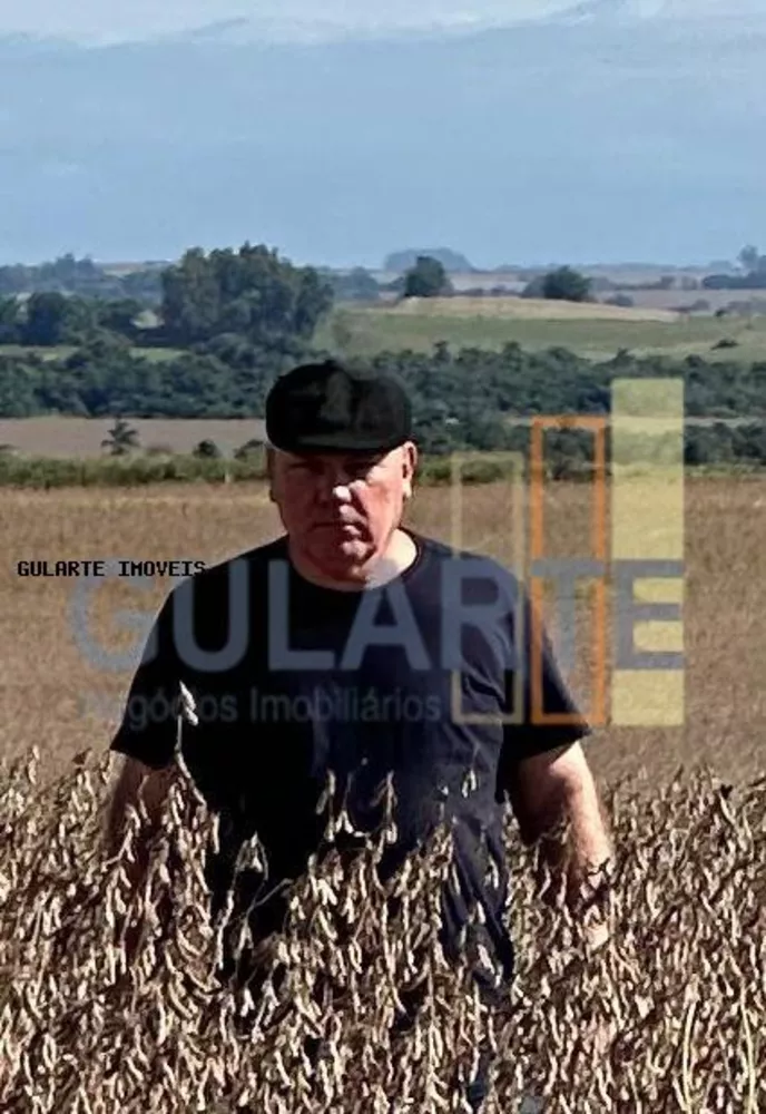 Fazenda, 401 hectares - Foto 12