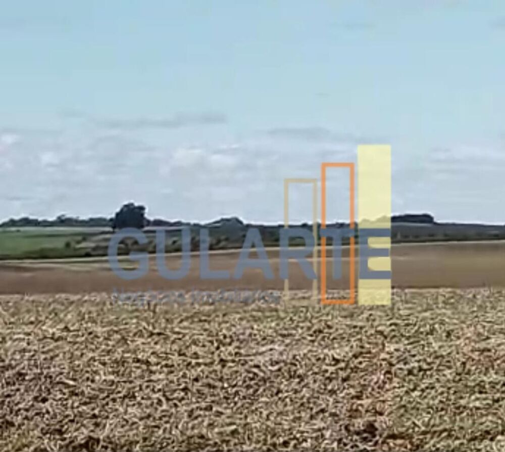 Fazenda, 401 hectares - Foto 9