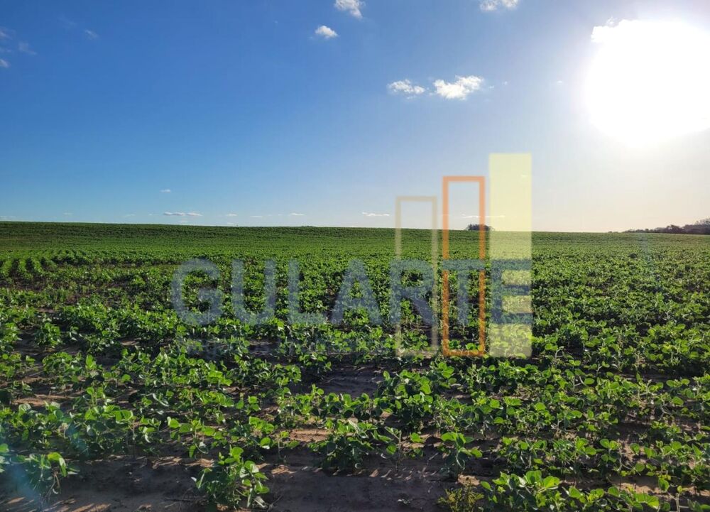 Fazenda à venda, 3200000m² - Foto 1