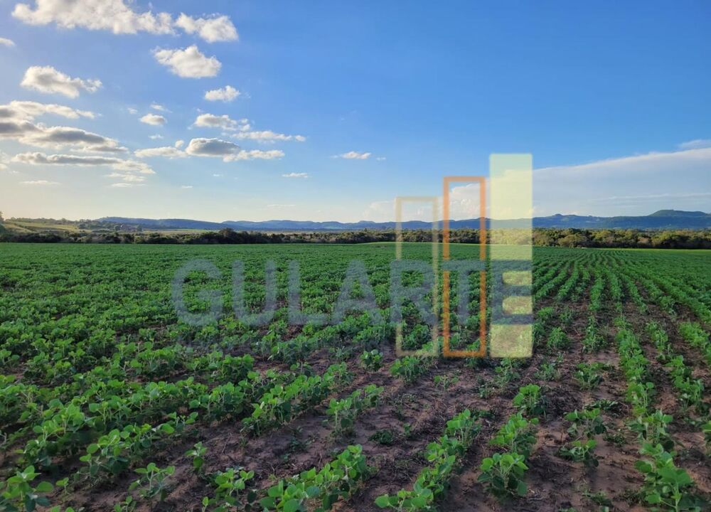 Fazenda à venda, 3200000m² - Foto 2