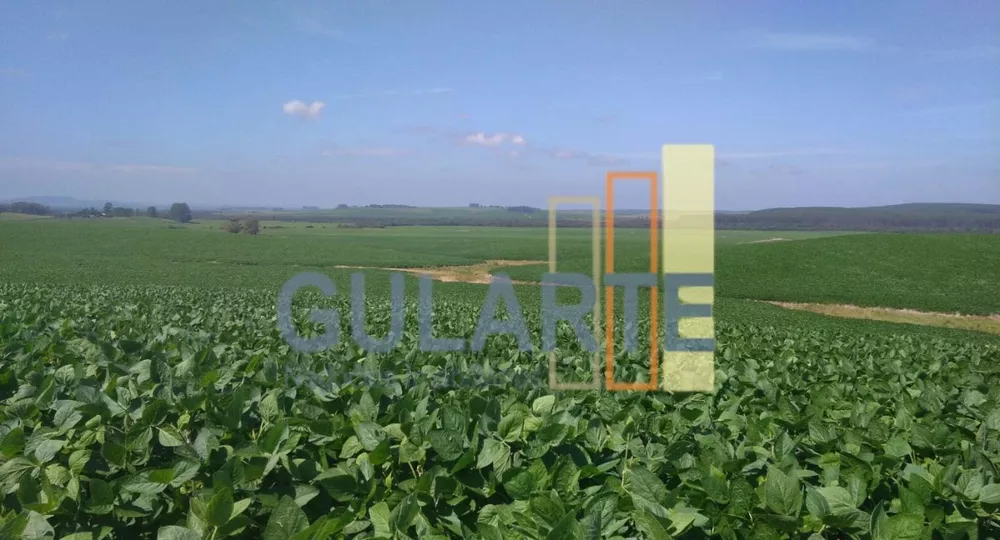 Fazenda, 625 hectares - Foto 4