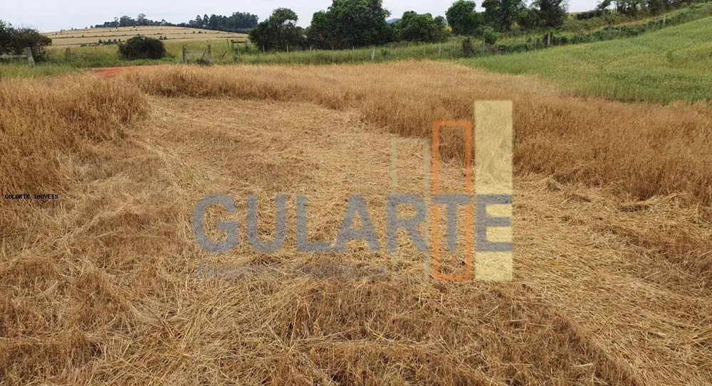 Fazenda, 517 hectares - Foto 6