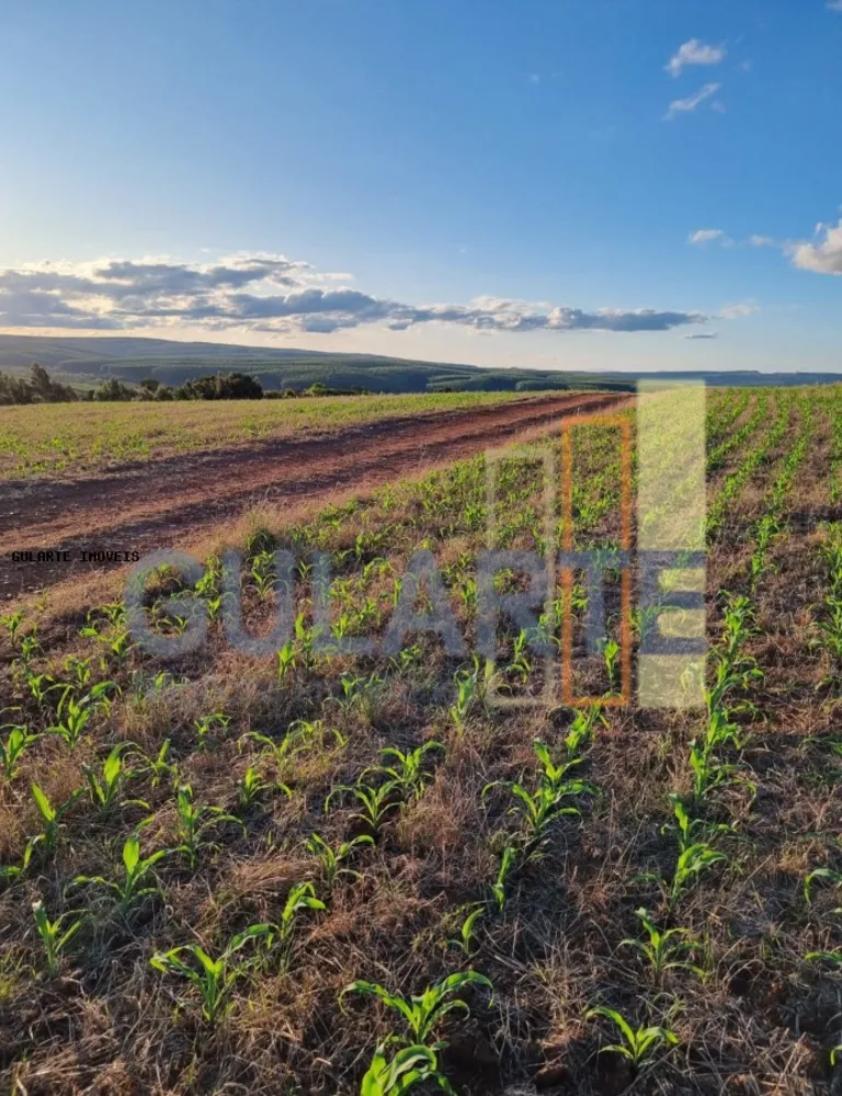 Fazenda, 517 hectares - Foto 7