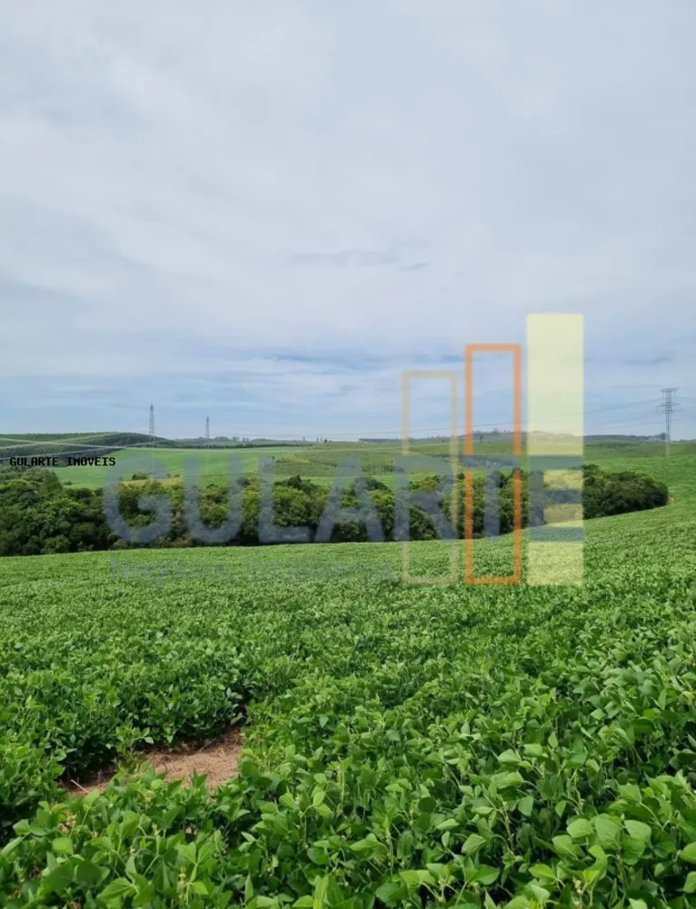 Fazenda, 517 hectares - Foto 10