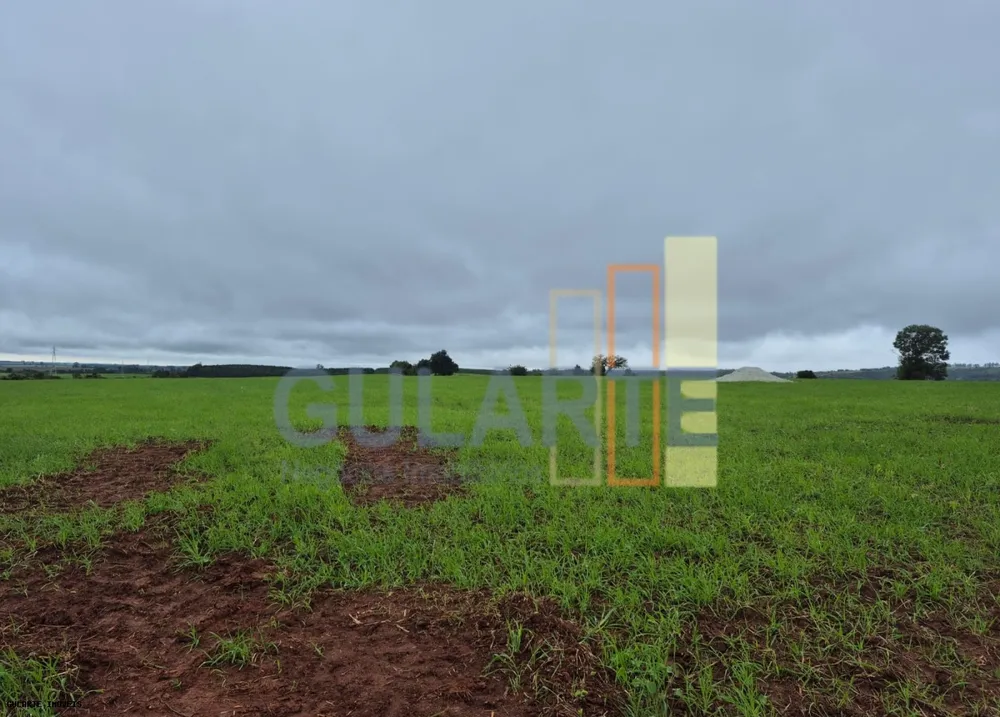 Terreno, 36 hectares - Foto 2