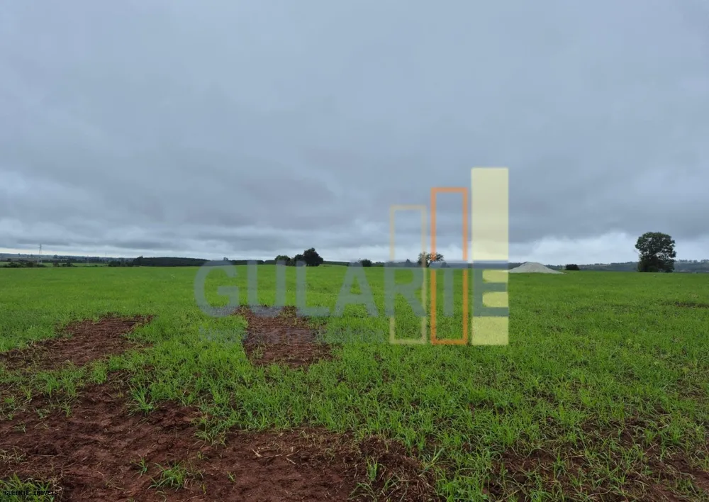 Terreno, 36 hectares - Foto 3