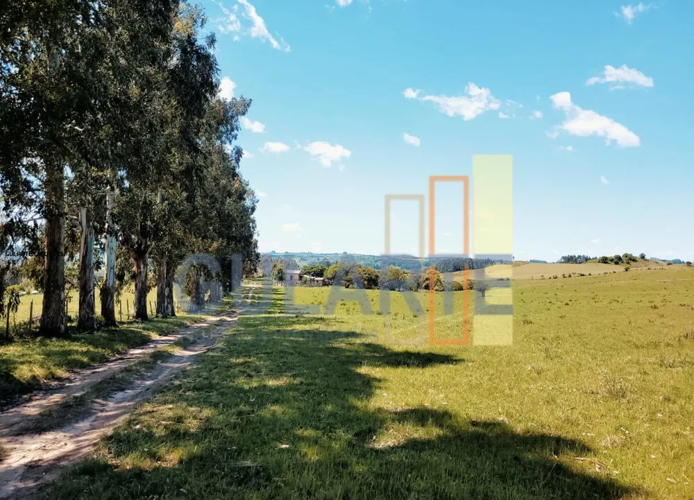 Fazenda, 405 hectares - Foto 8