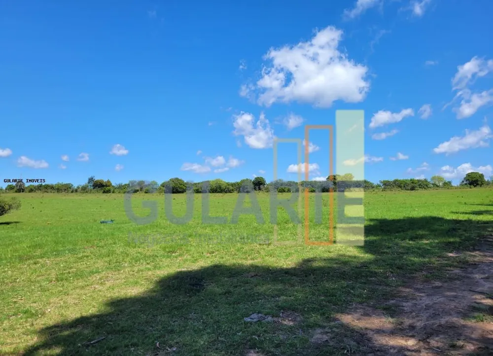 Fazenda, 405 hectares - Foto 9