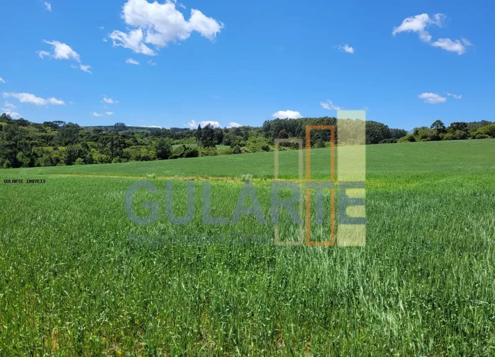 Fazenda, 405 hectares - Foto 3
