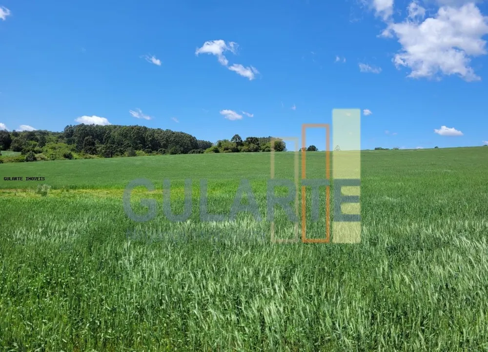 Fazenda, 405 hectares - Foto 2