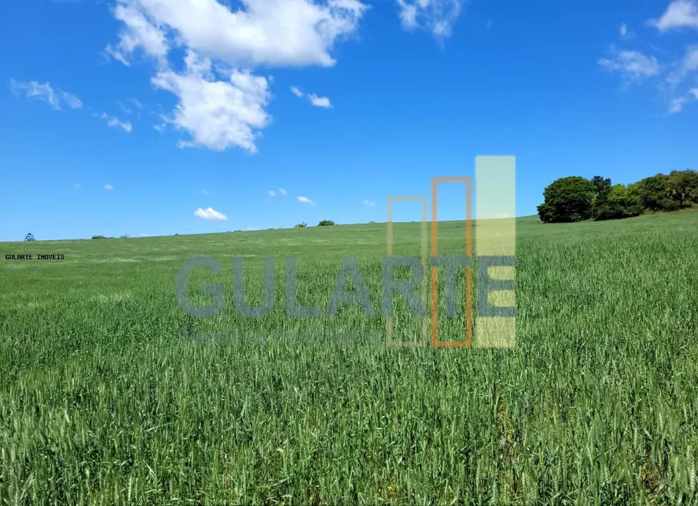 Fazenda, 405 hectares - Foto 4