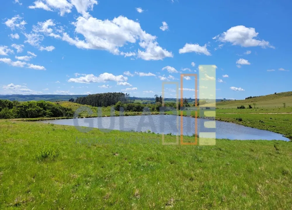Fazenda, 405 hectares - Foto 11