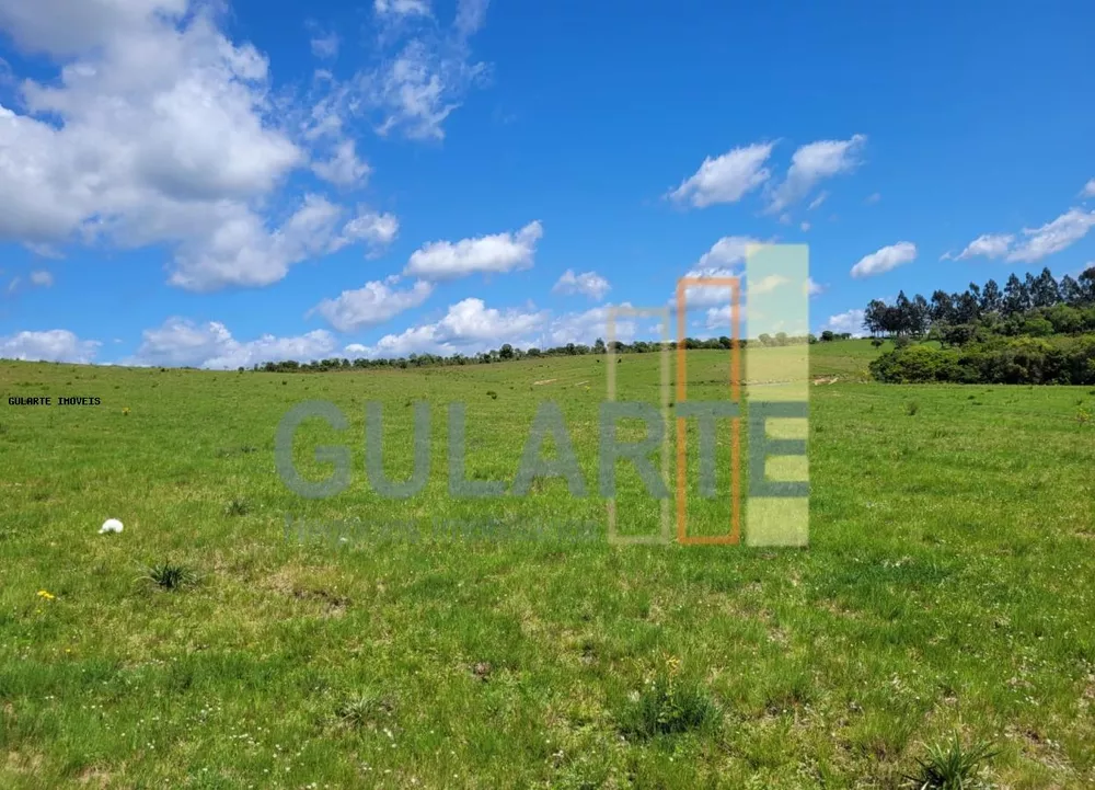 Fazenda, 405 hectares - Foto 6