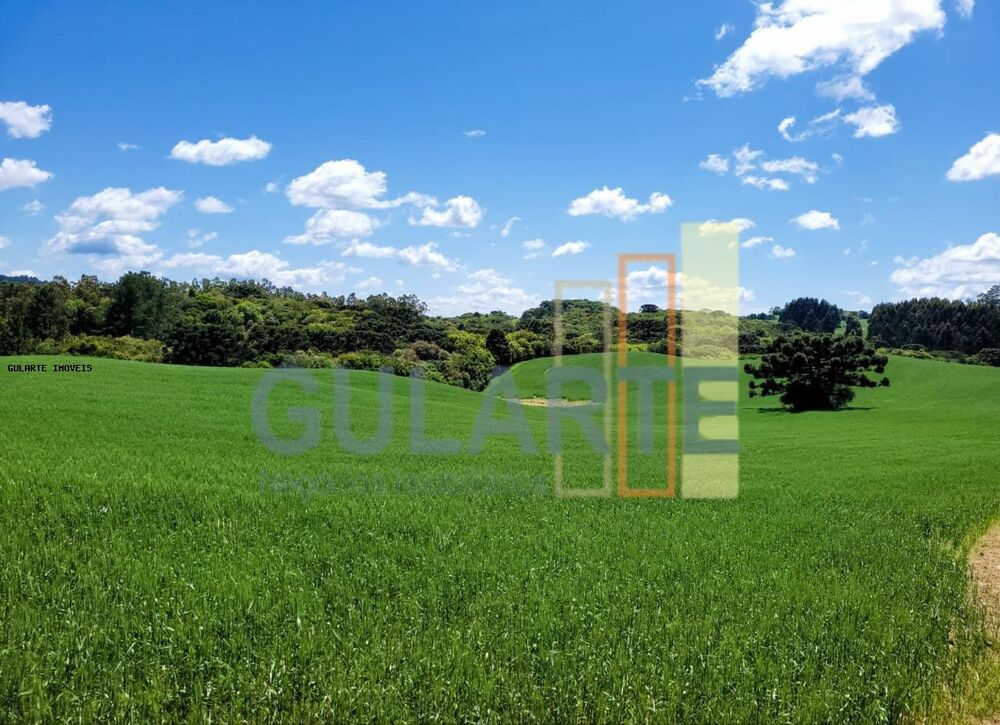 Fazenda, 405 hectares - Foto 2