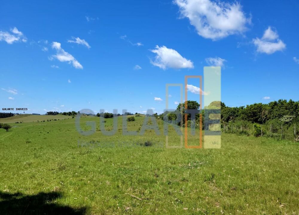 Fazenda, 405 hectares - Foto 3