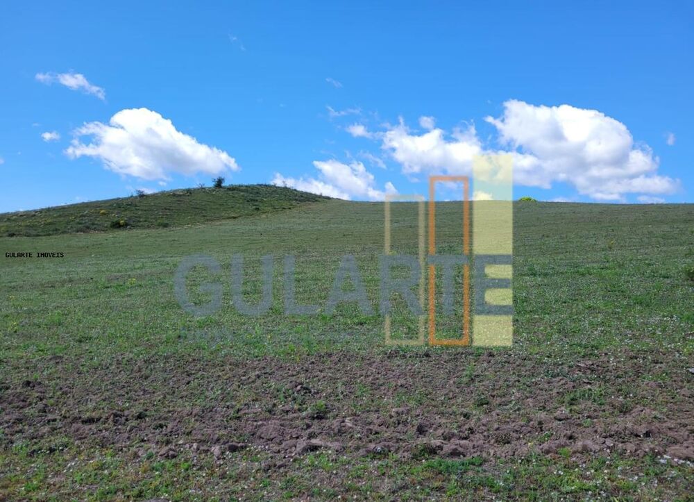 Fazenda, 405 hectares - Foto 7