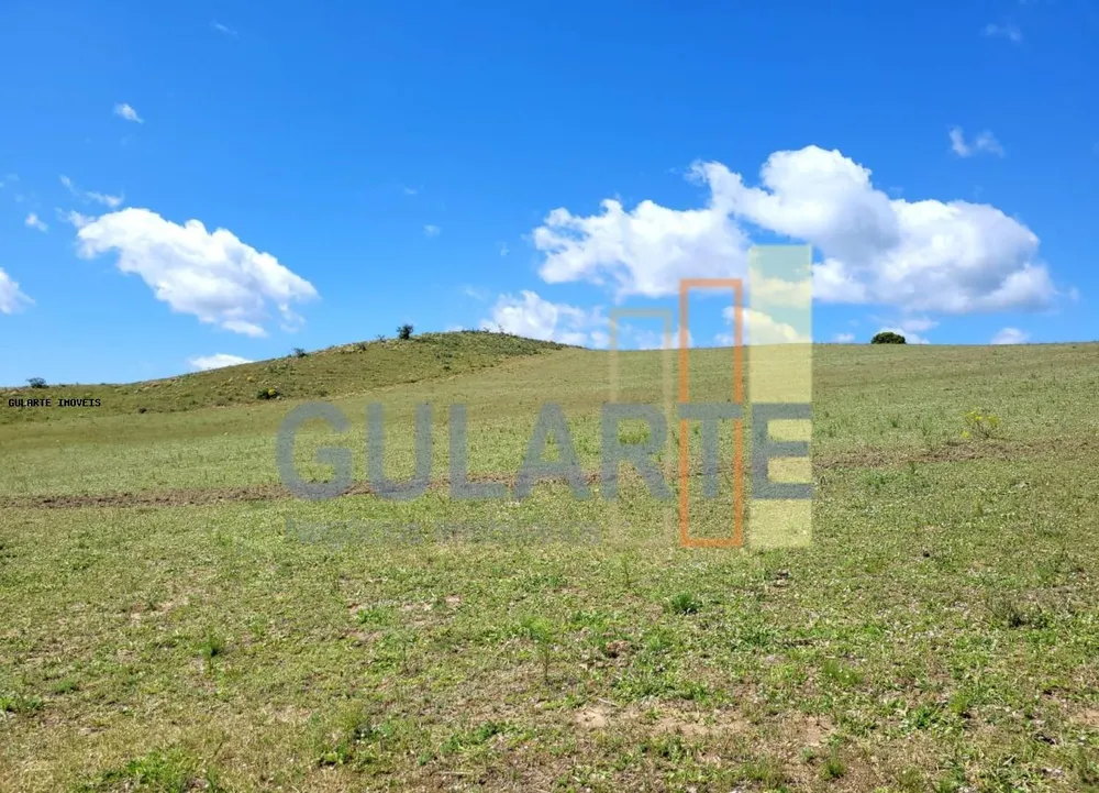 Fazenda, 405 hectares - Foto 12